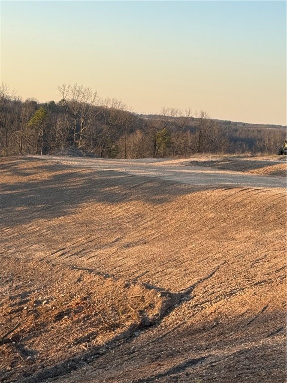 Image 12