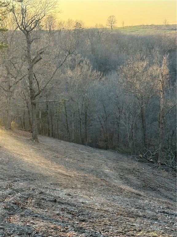 Image 14
