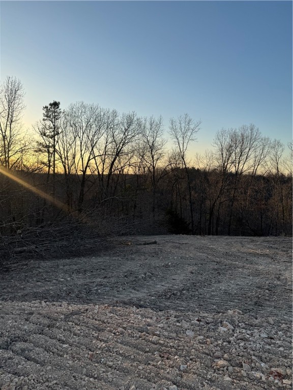 Image 19