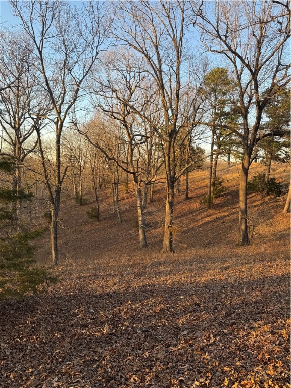 Image 8