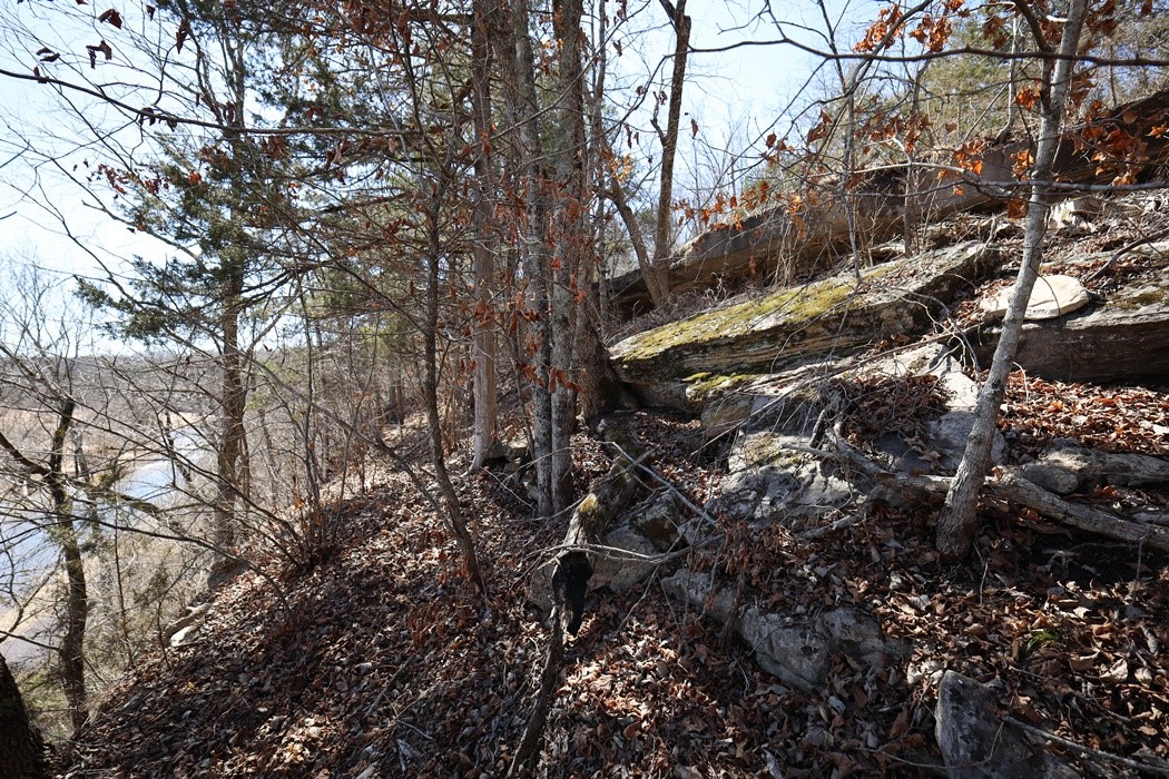 Image 38