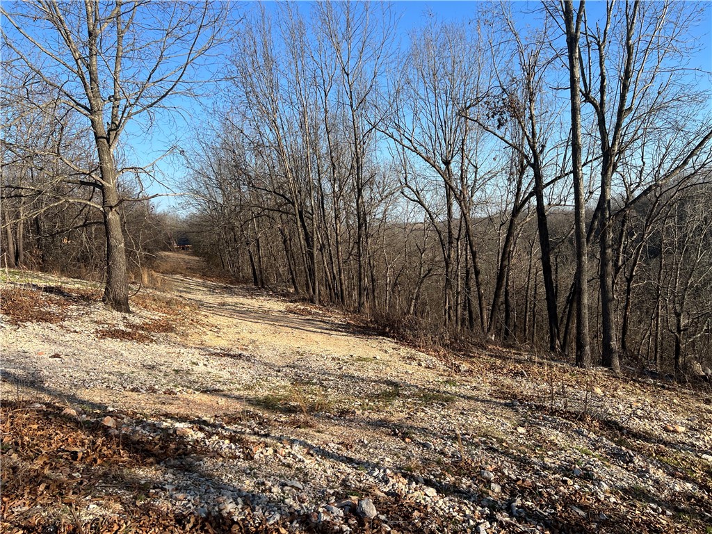 Image 36