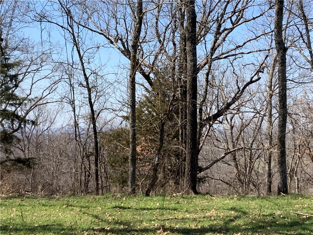 Image 48