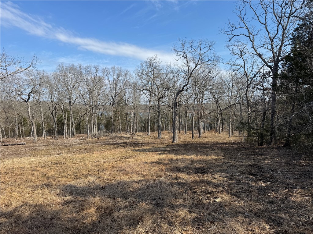 Image 10
