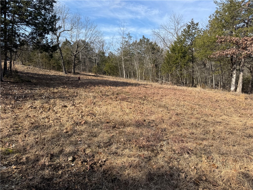 Image 11