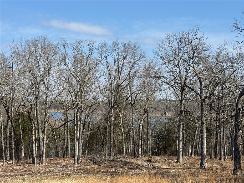 Image 12