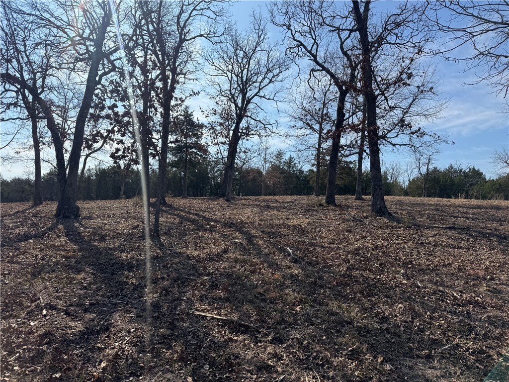 Image 15
