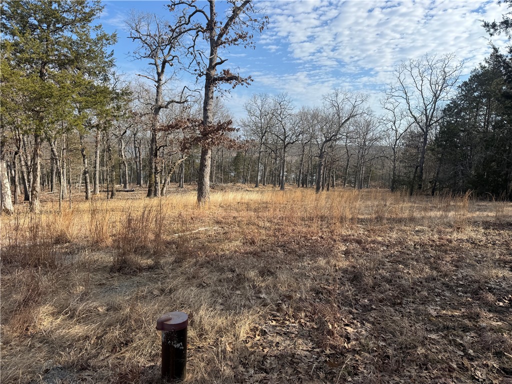 Image 33