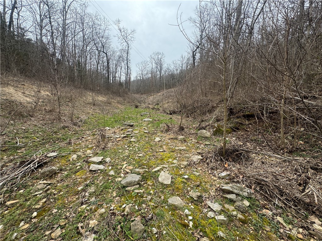 Image 12
