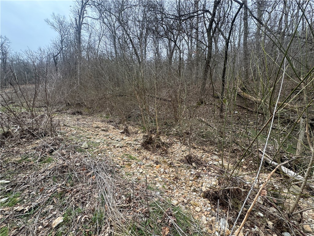 Image 13