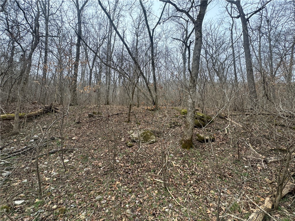 Image 14