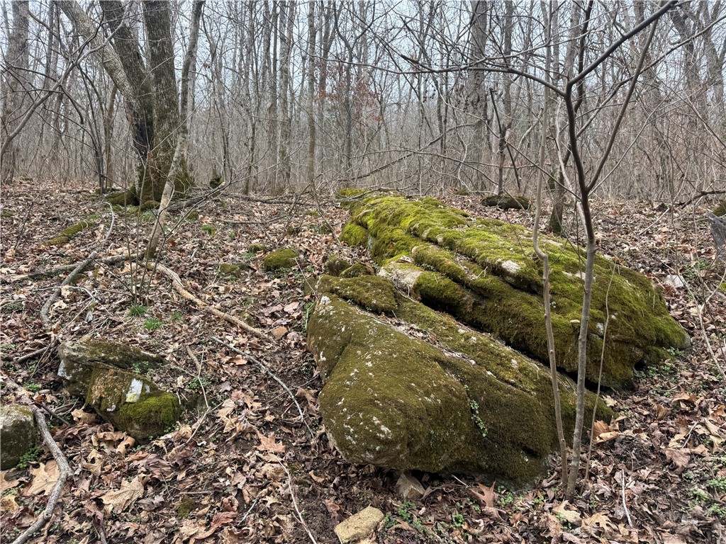 Image 15