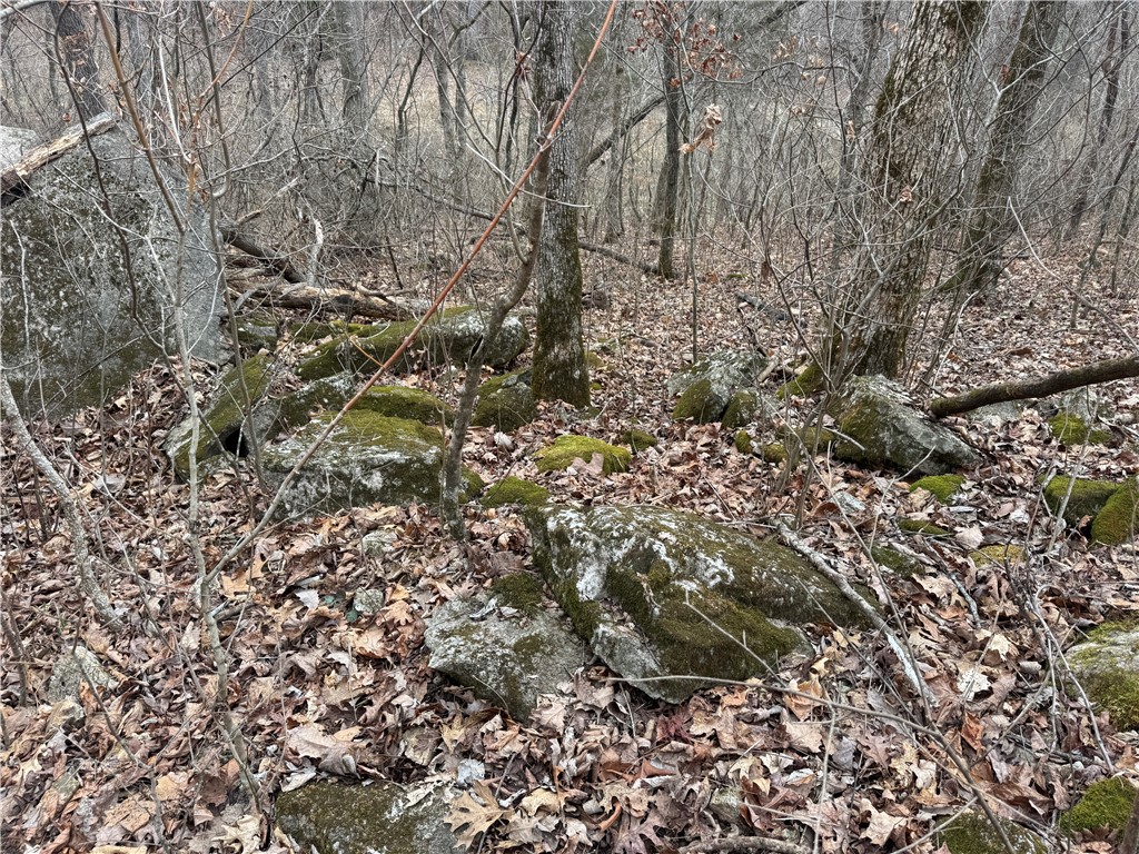 Image 17
