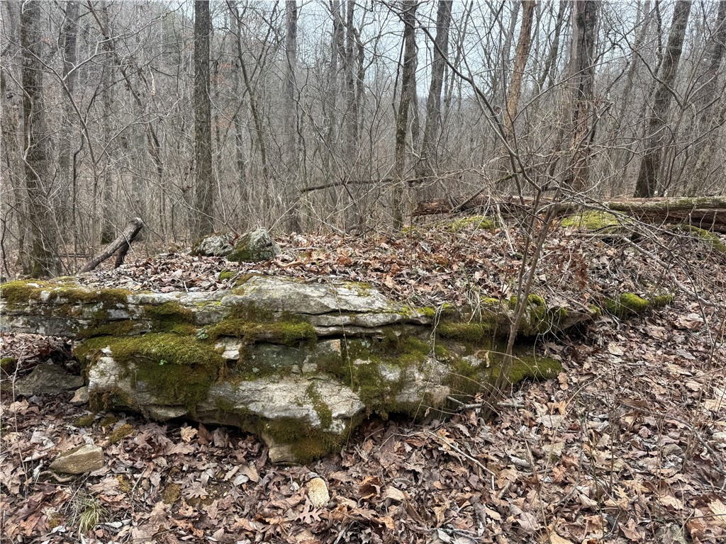 Image 18