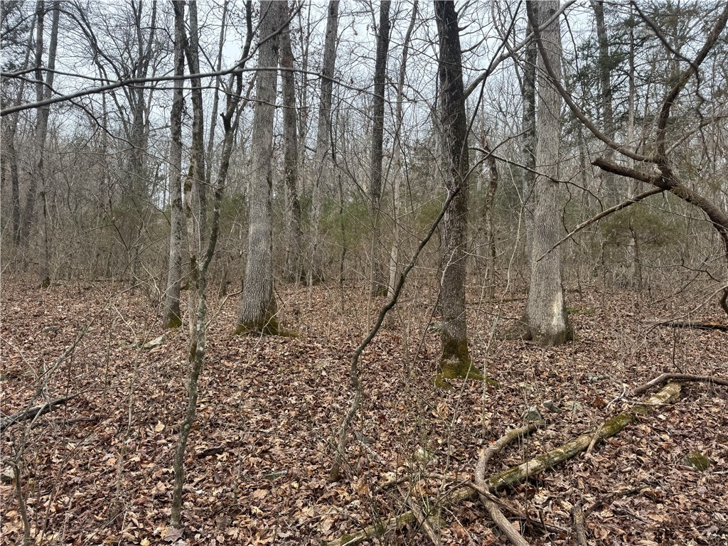 Image 19