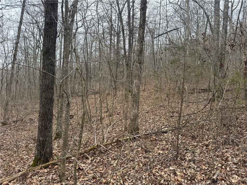 Image 21