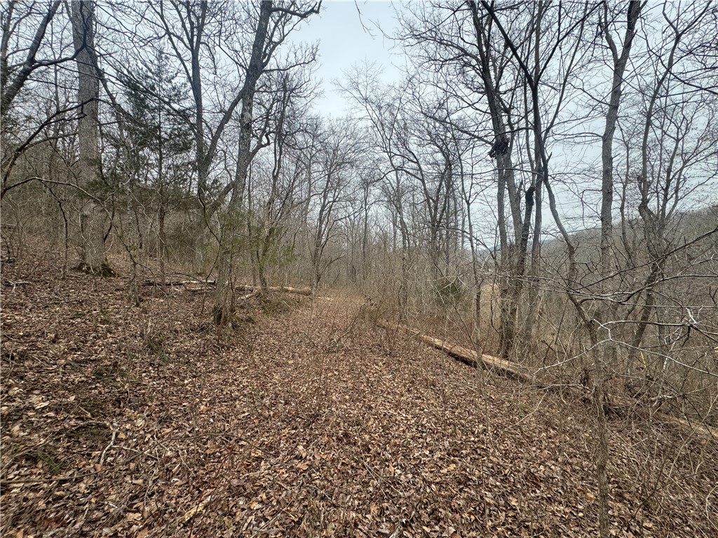 Image 31