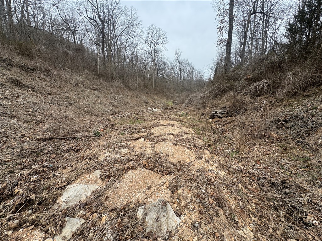 Image 6