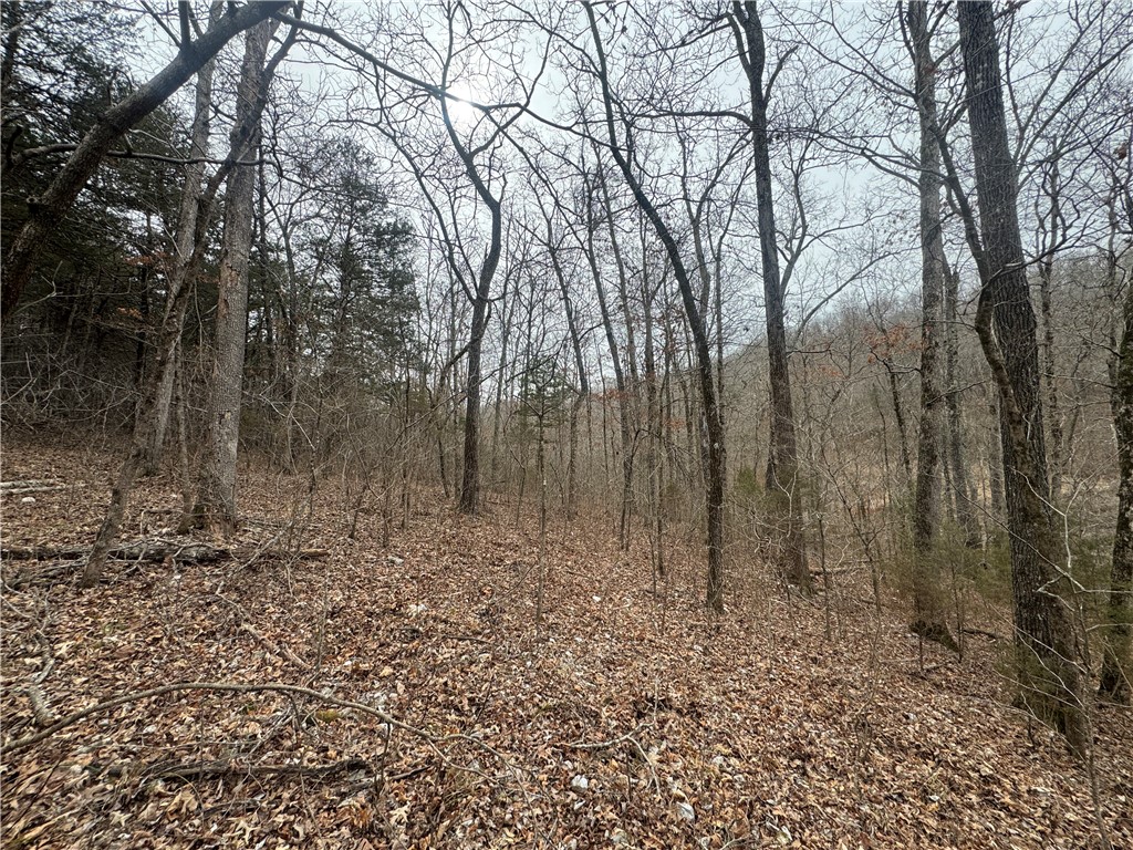 Image 8