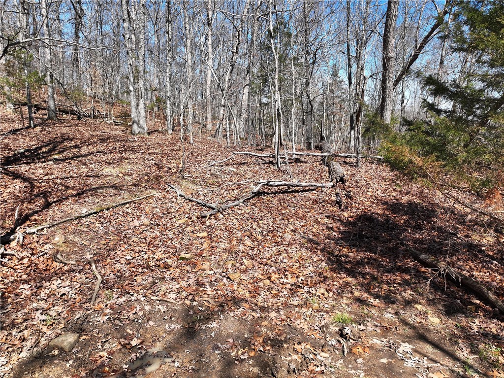 Image 14