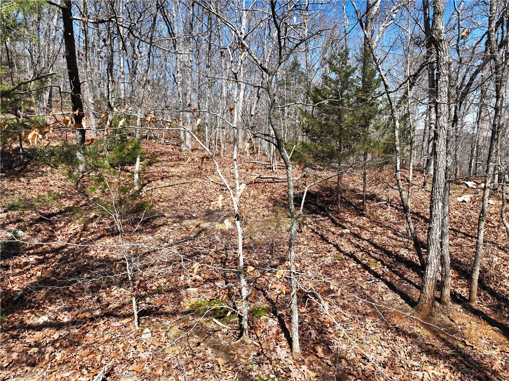 Image 15