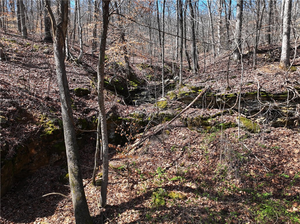 Image 19