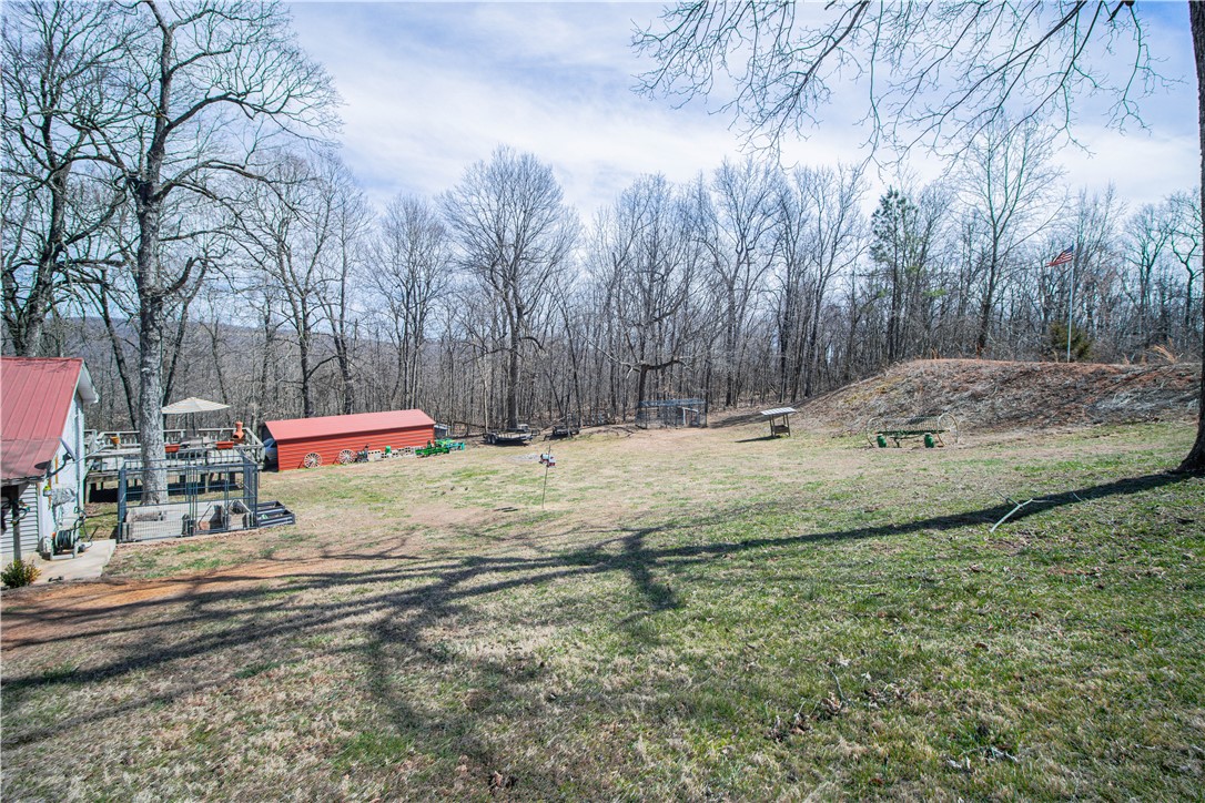 Image 10