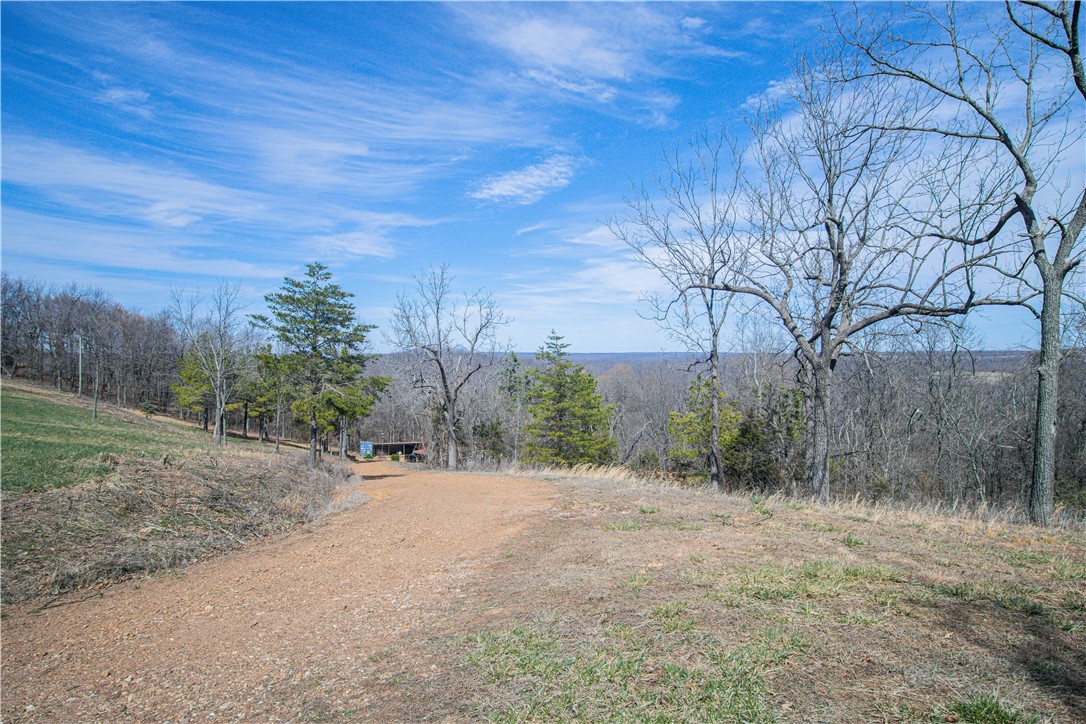 Image 13