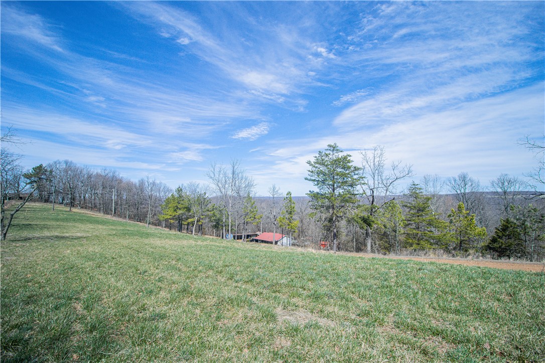 Image 14