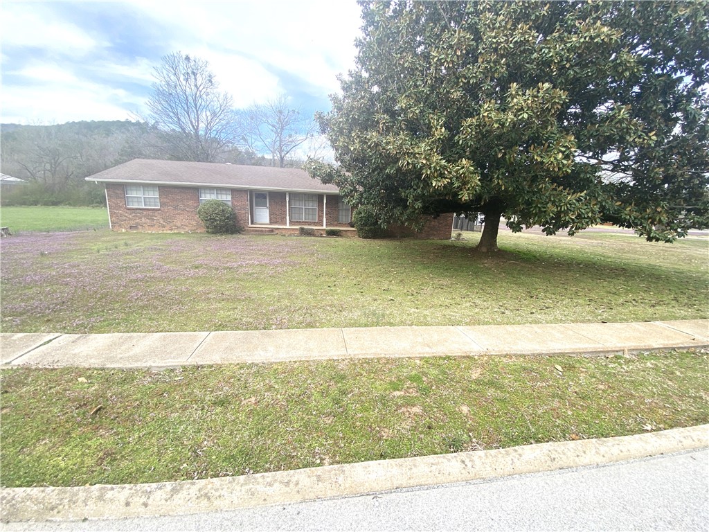 Image 19