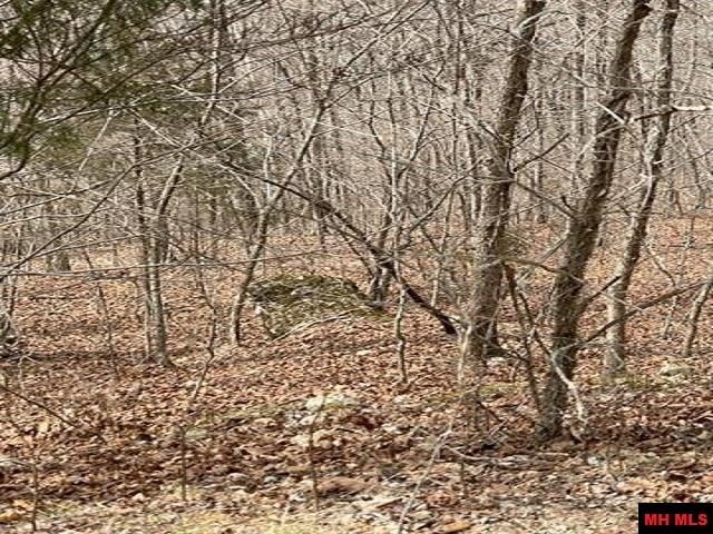 Image 13