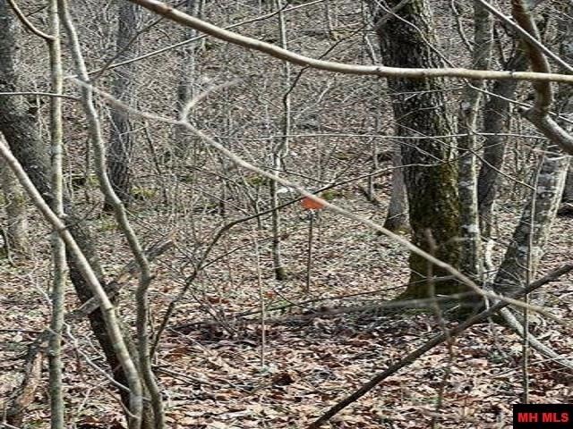 Image 6