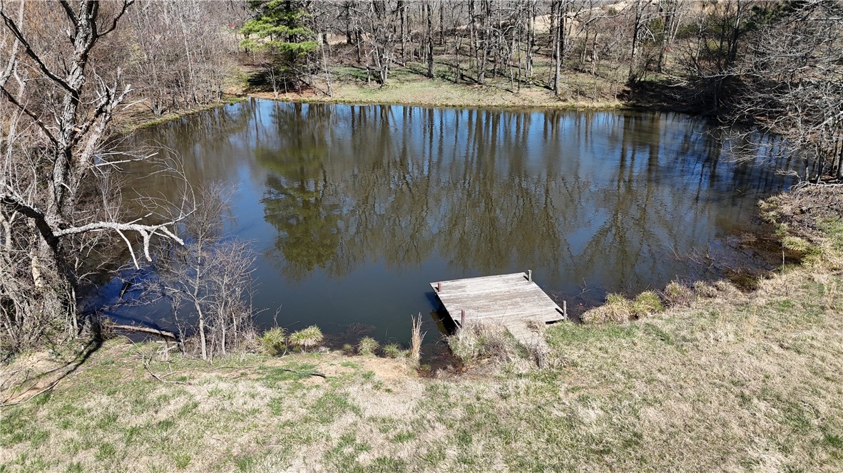 Image 19