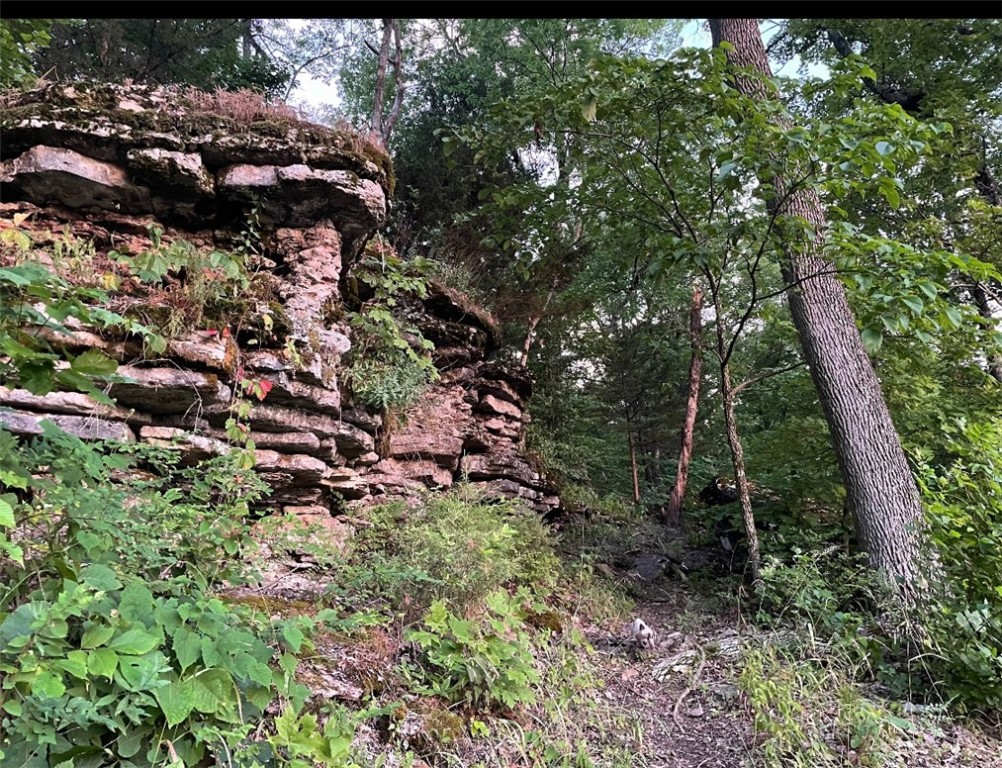 Image 10