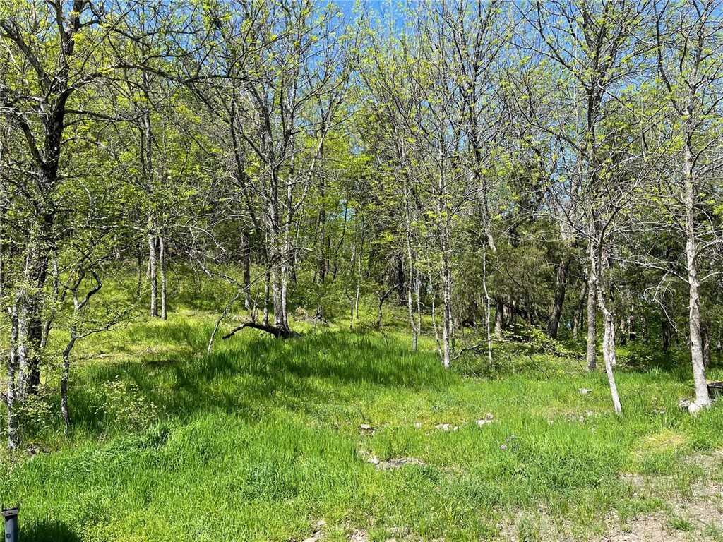 Image 13