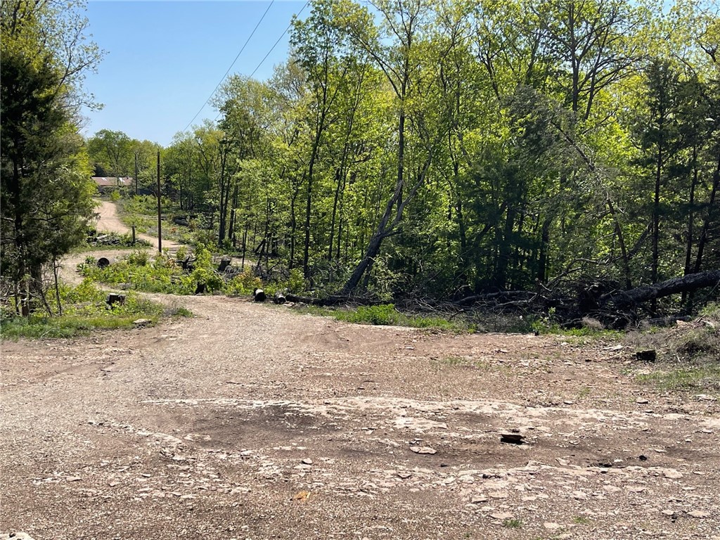 Image 15