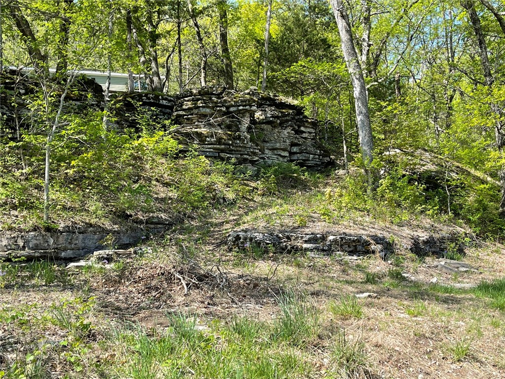 Image 16