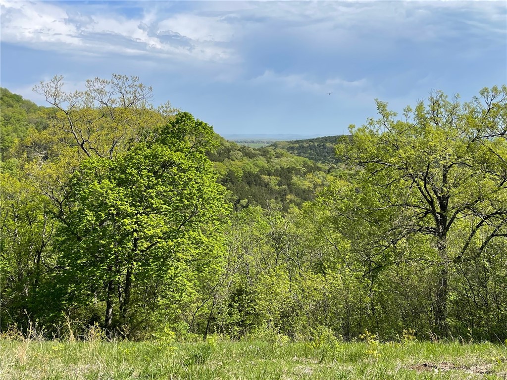 Image 18