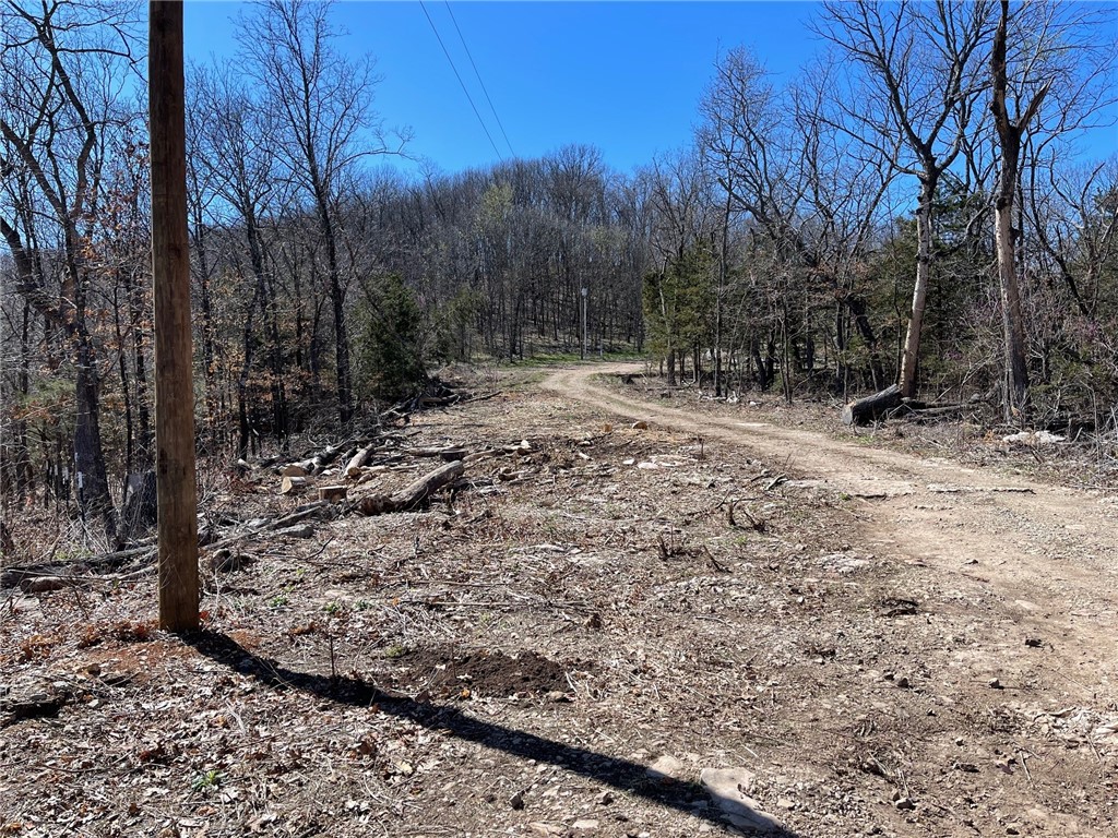 Image 19