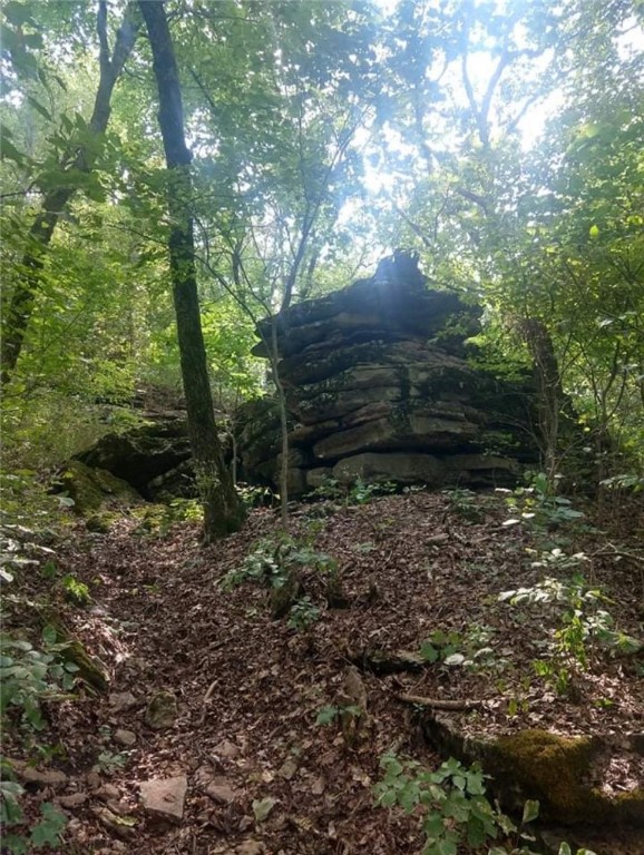 Image 8
