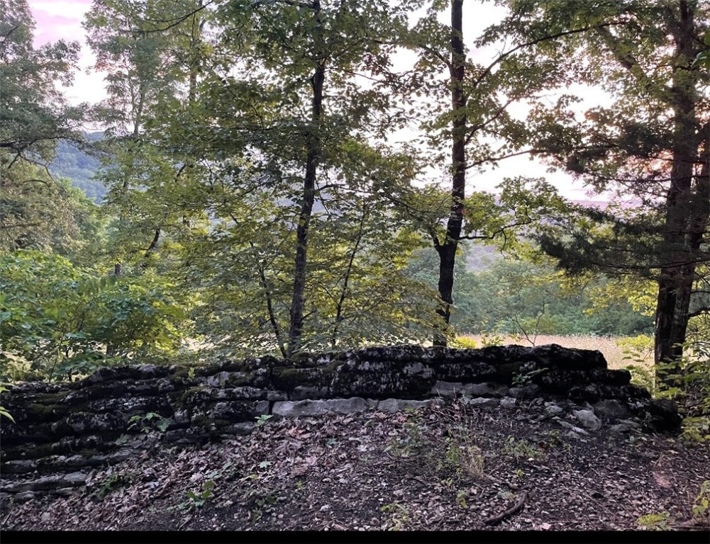 Image 9