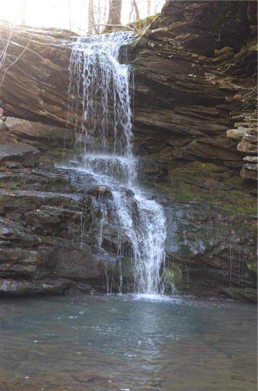 Image 24