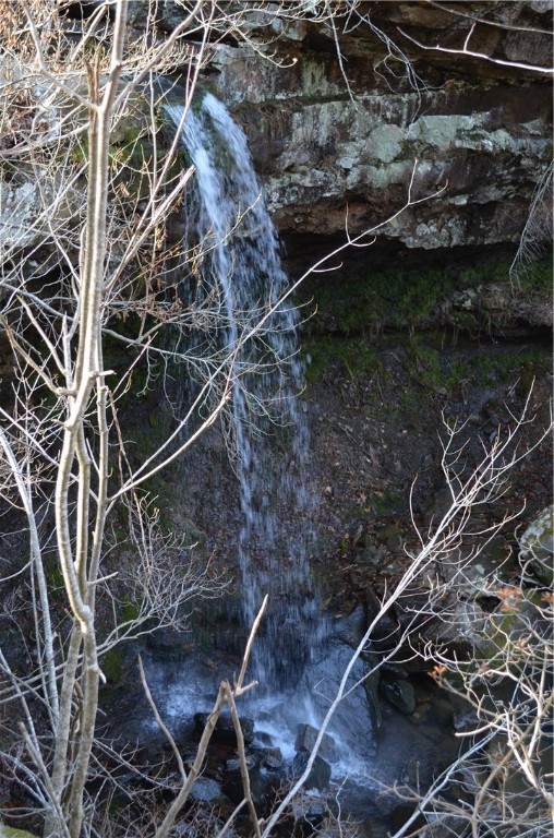 Image 25