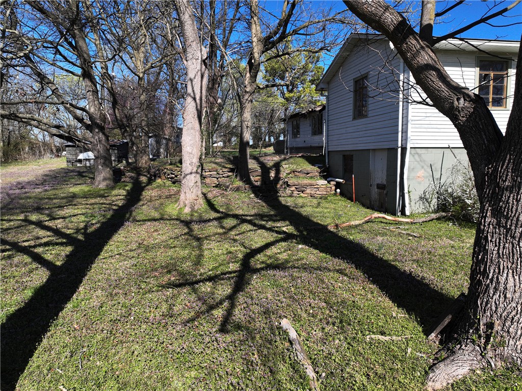Image 18
