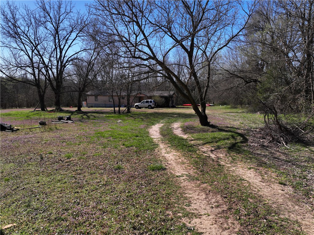 Image 19