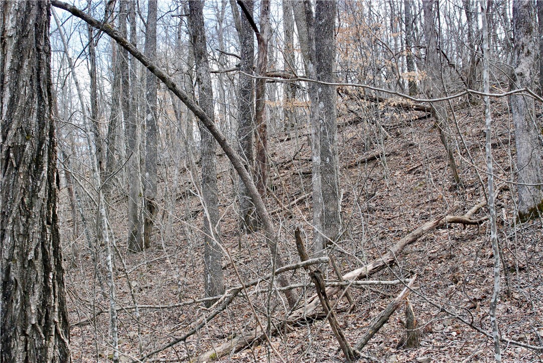 Image 14
