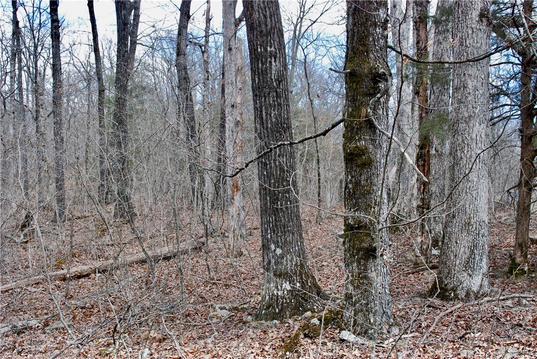 Image 15