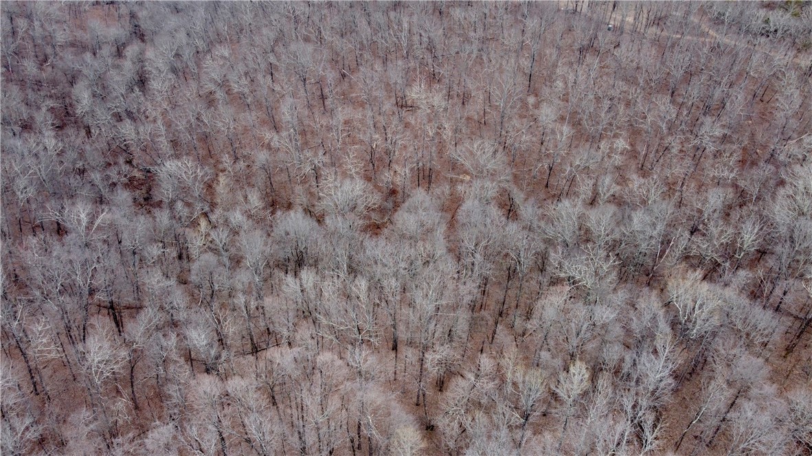 Image 18