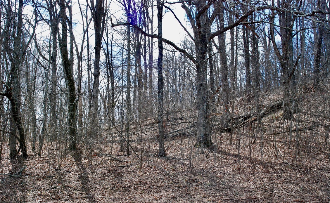 Image 19