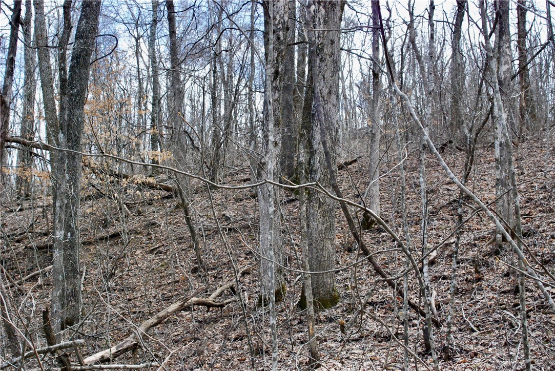 Image 21